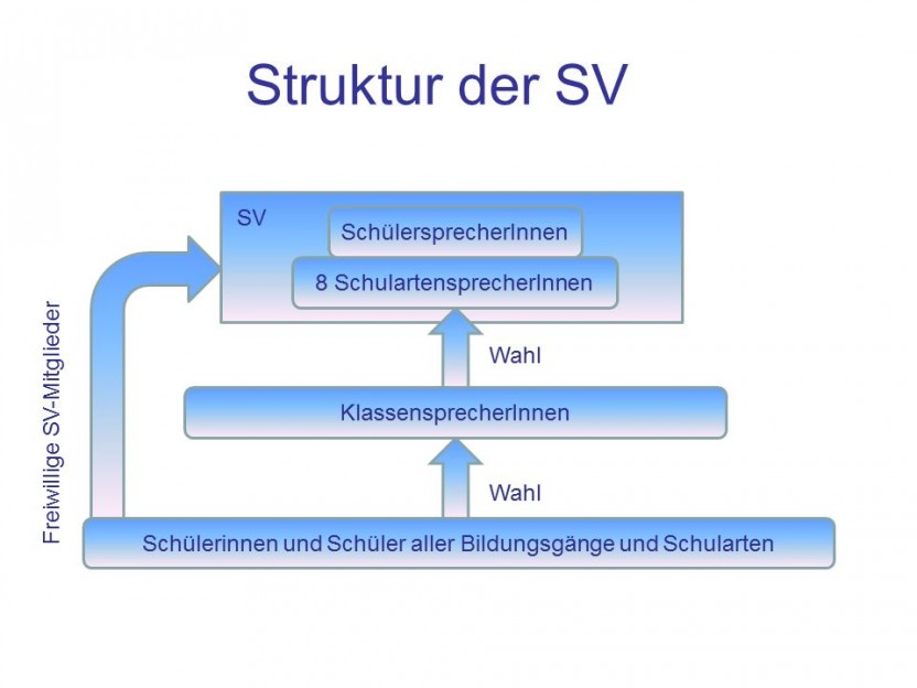 Struktur der SV der BS Eutin